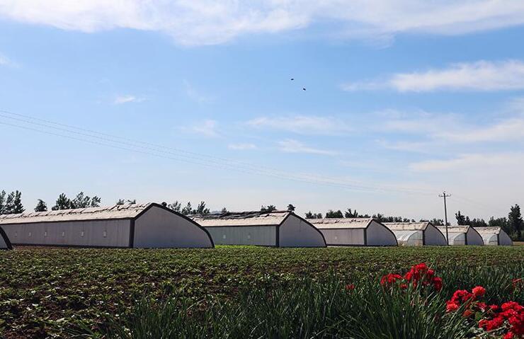 佳惠鮮漳州蔬菜配送基地